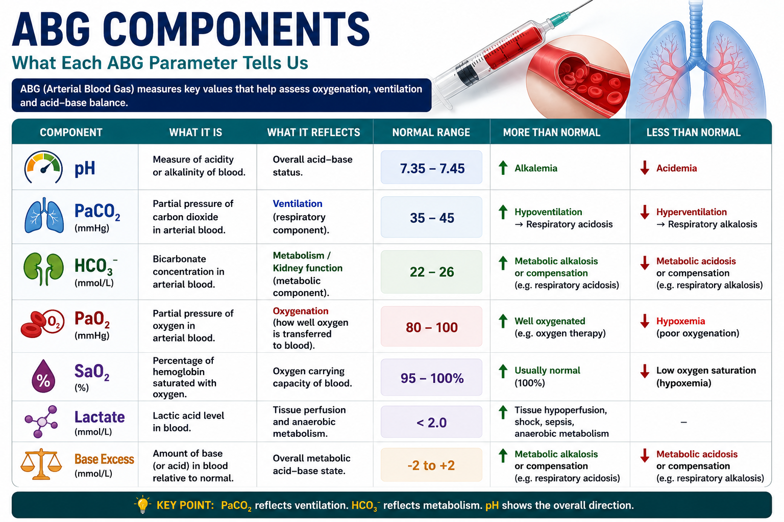 ABG components including pH PaCO2 bicarbonate PaO2 saturation base excess and lactate
