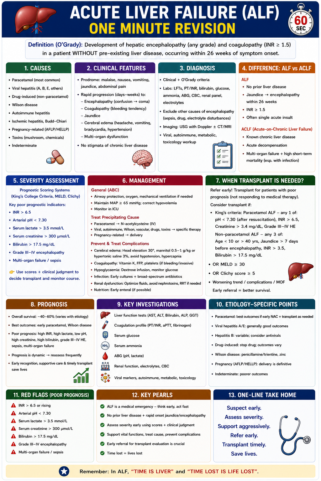 One-minute revision summary of acute liver failure showing hepatocyte injury INR rise encephalopathy hypoglycaemia cerebral edema and transplant assessment