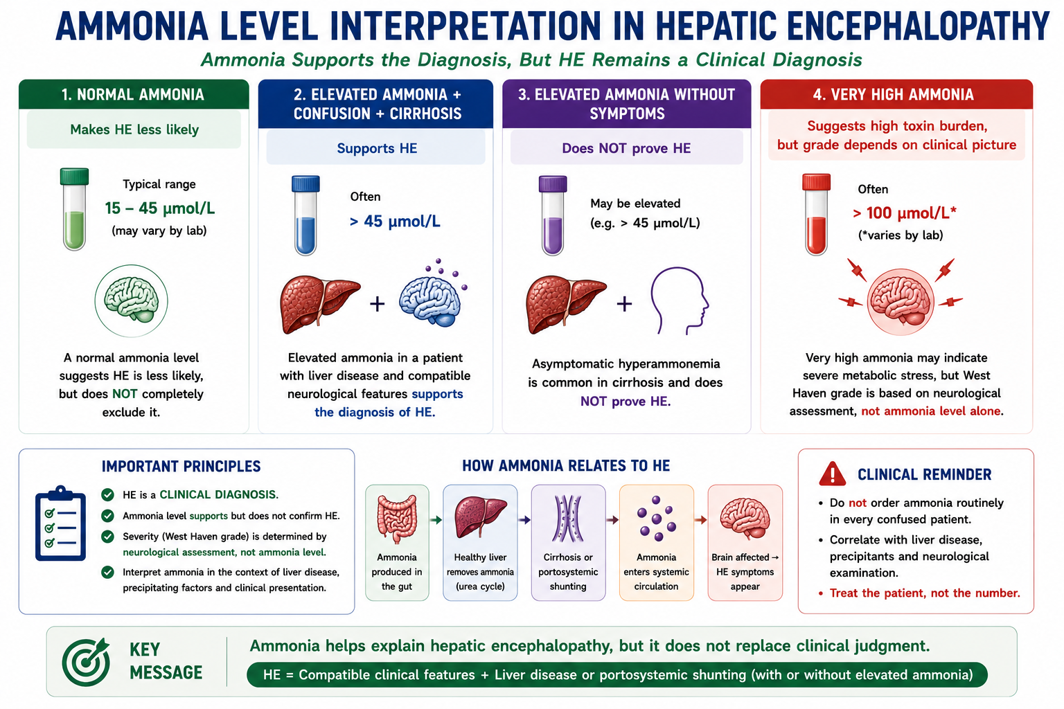 Infographic explaining how to interpret ammonia levels in hepatic encephalopathy including normal ammonia elevated ammonia symptomatic patients and asymptomatic hyperammonemia