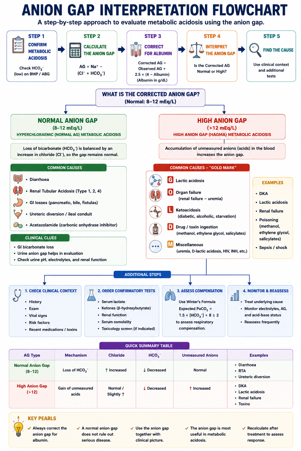 Anion gap interpretation flowchart checking bicarbonate calculating anion gap correcting albumin and identifying cause