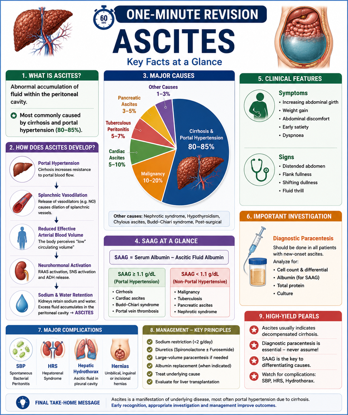 One-minute revision summary of ascites showing pathophysiology cascade SAAG interpretation complications and management principles