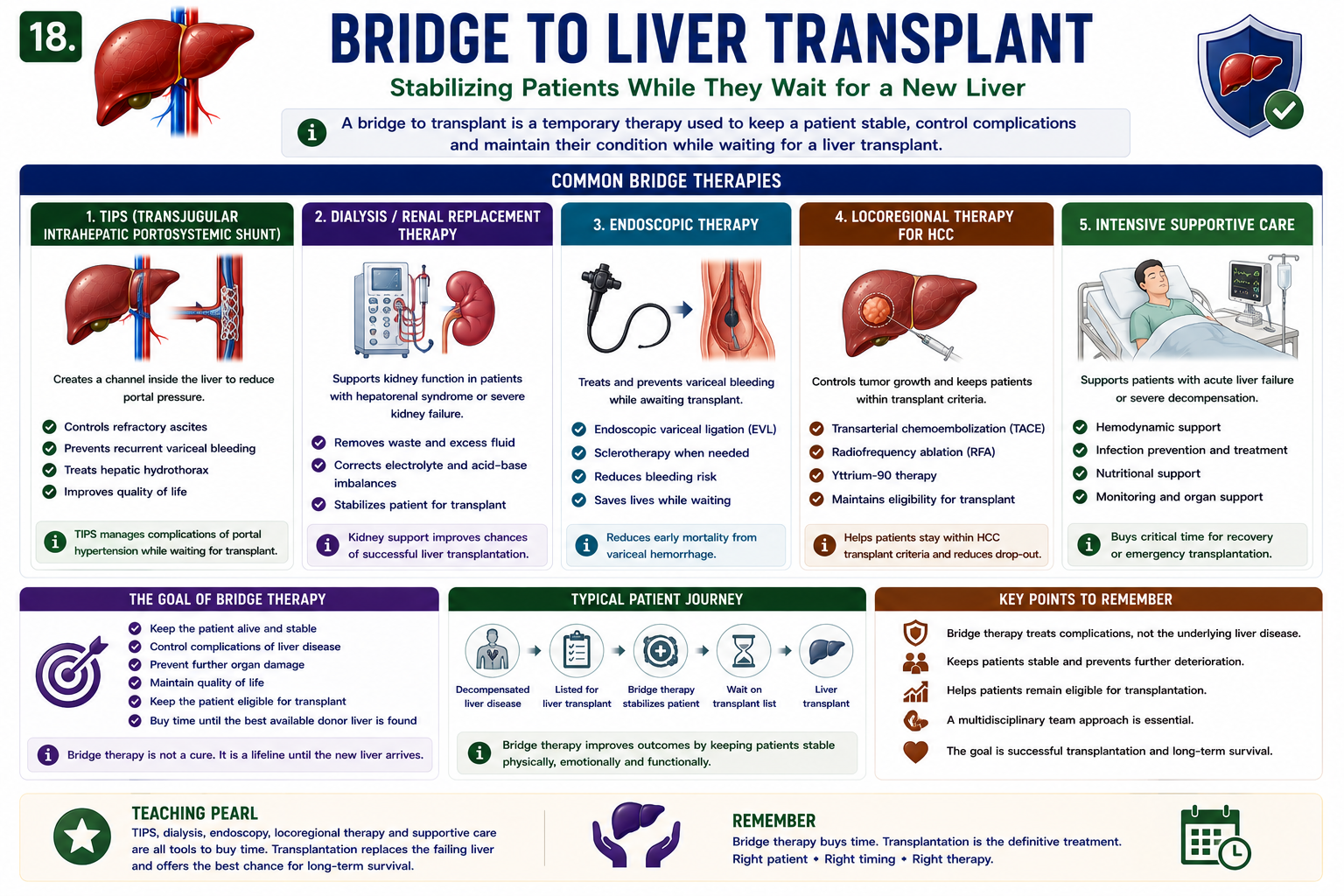 Bridge to liver transplant showing TIPS dialysis endoscopic therapy HCC locoregional therapy and intensive supportive care keeping patients stable while awaiting transplantation