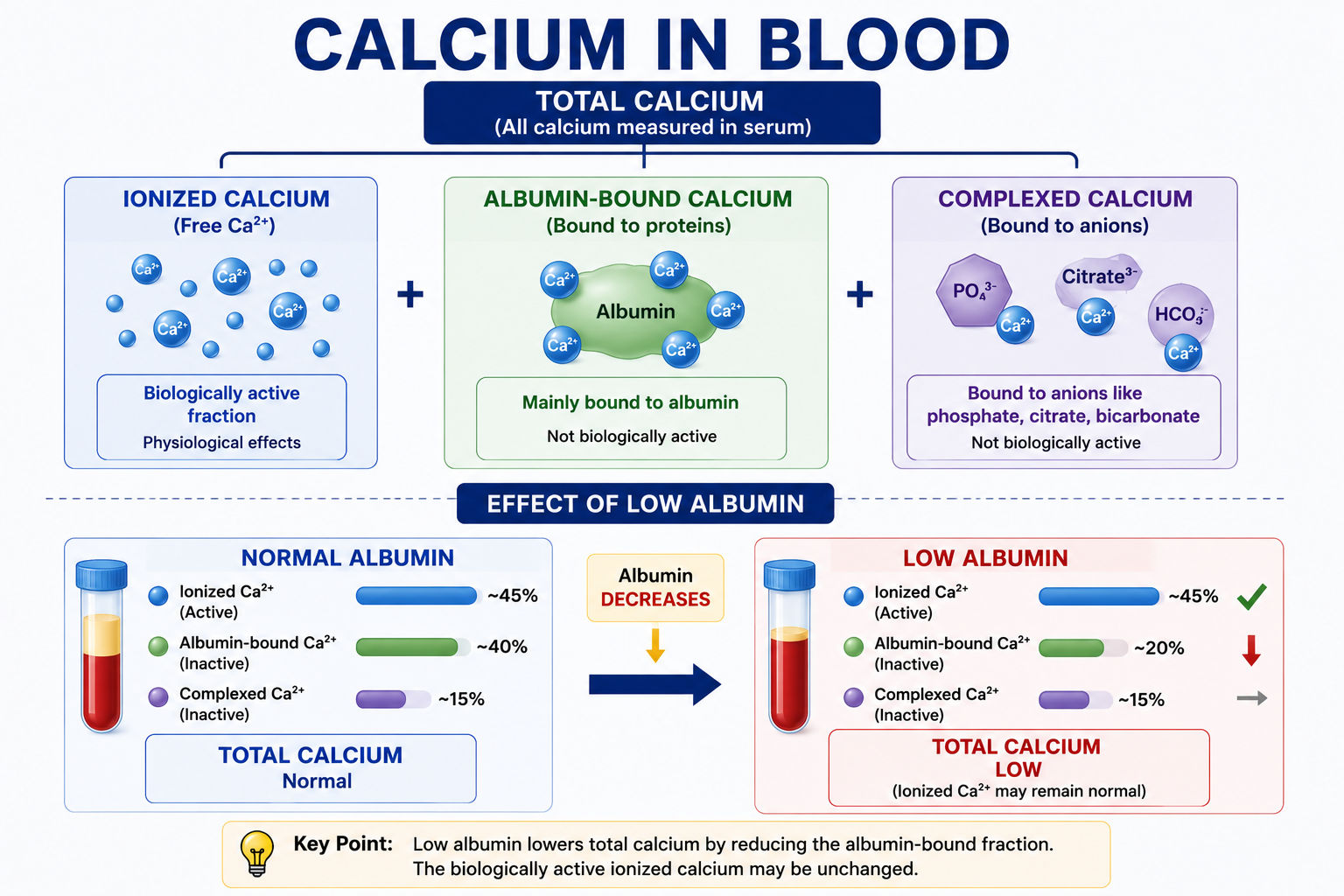 Diagram showing total serum calcium divided into ionized, albumin-bound and complexed calcium and the effect of low albumin on total calcium