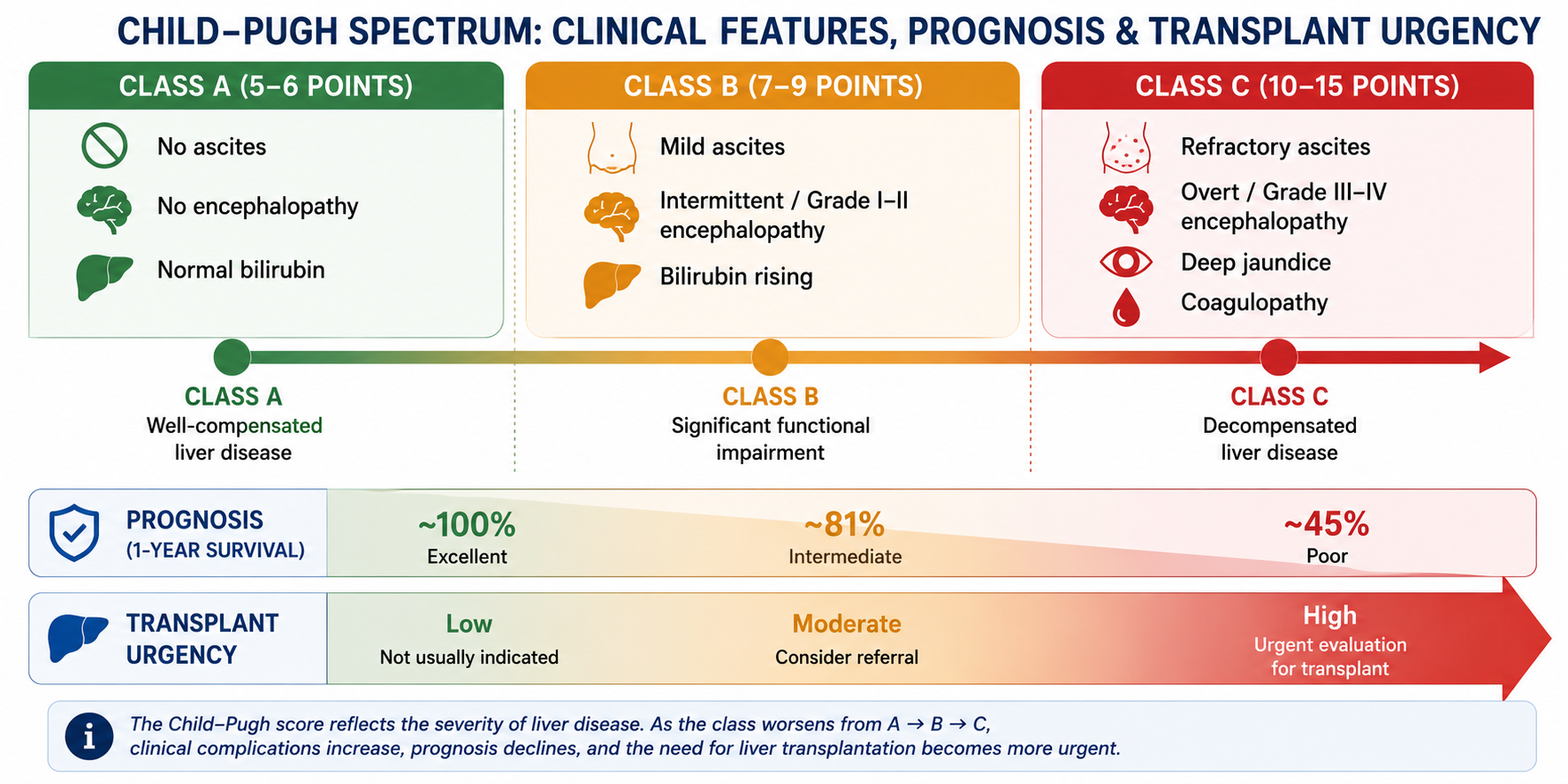 Clinical severity spectrum of cirrhosis mapped to Child-Pugh Classes A B and C with clinical features at each stage