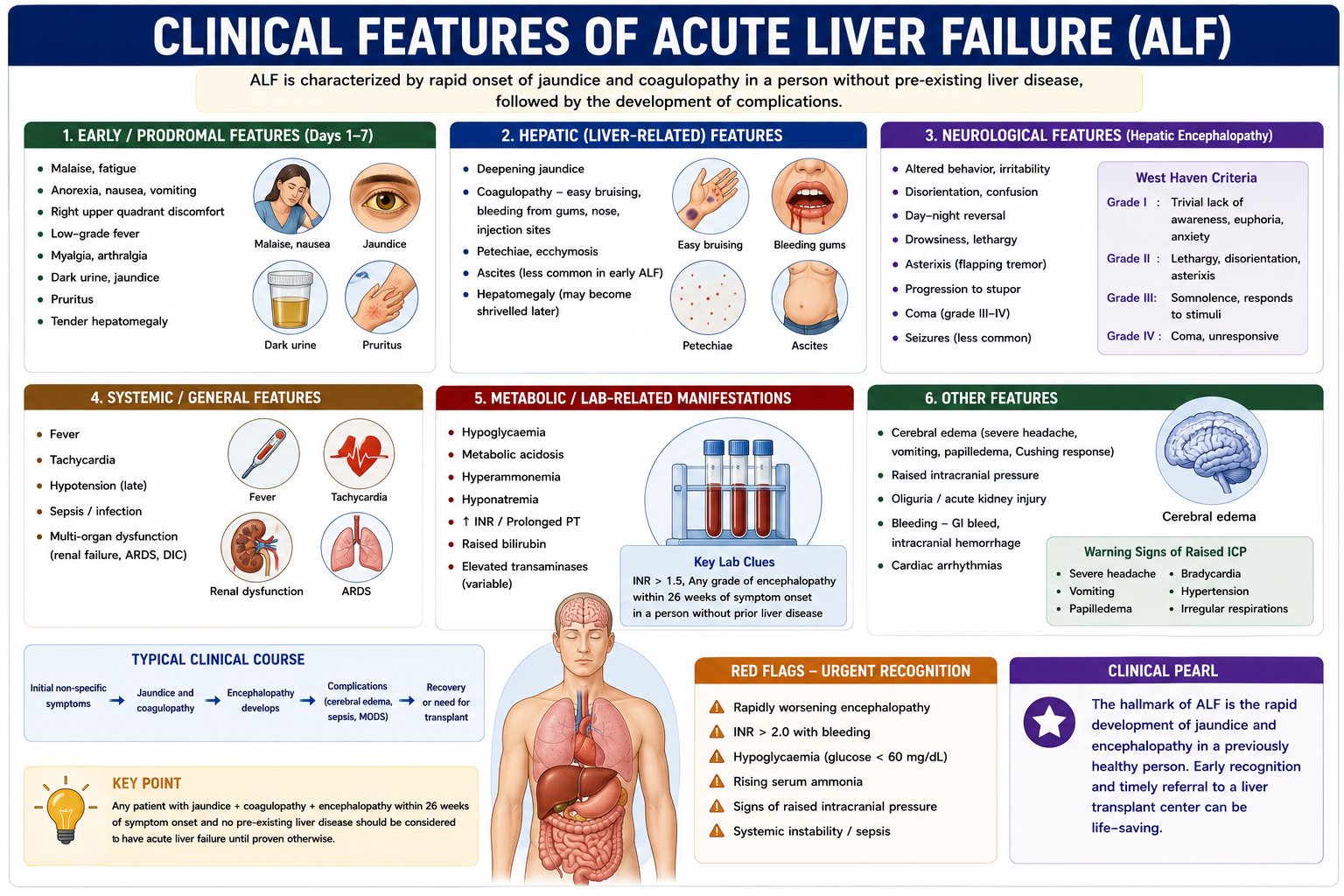 Clinical features of acute liver failure including jaundice confusion asterixis bleeding tendency hypoglycaemia and cerebral edema