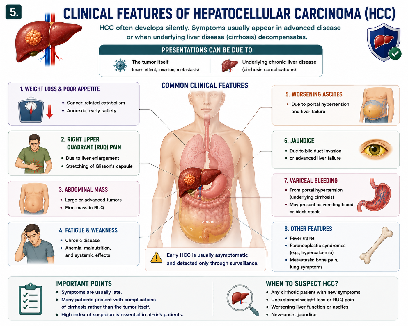 Clinical features of hepatocellular carcinoma including weight loss right upper quadrant pain mass ascites jaundice and variceal bleeding