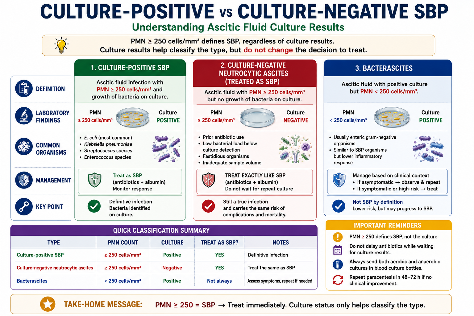 Table and diagram comparing culture-positive SBP culture-negative neutrocytic ascites and bacterascites with PMN counts and management