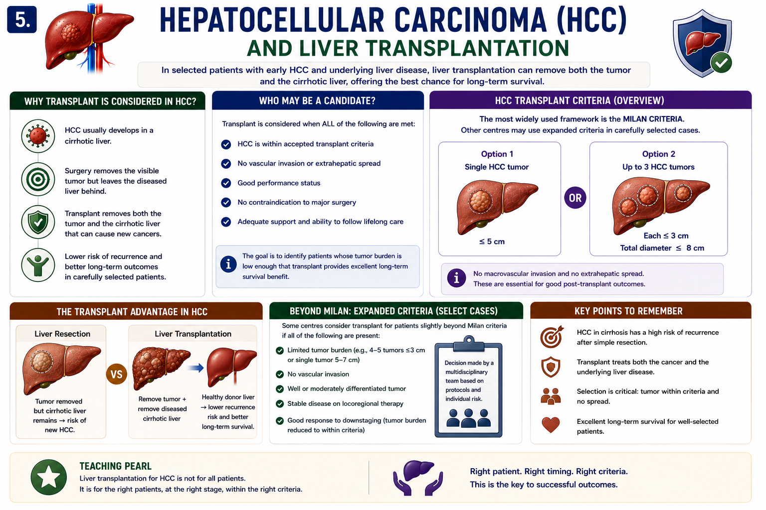 Hepatocellular carcinoma and liver transplantation showing early HCC within criteria removal of tumor-bearing cirrhotic liver and replacement with donor liver