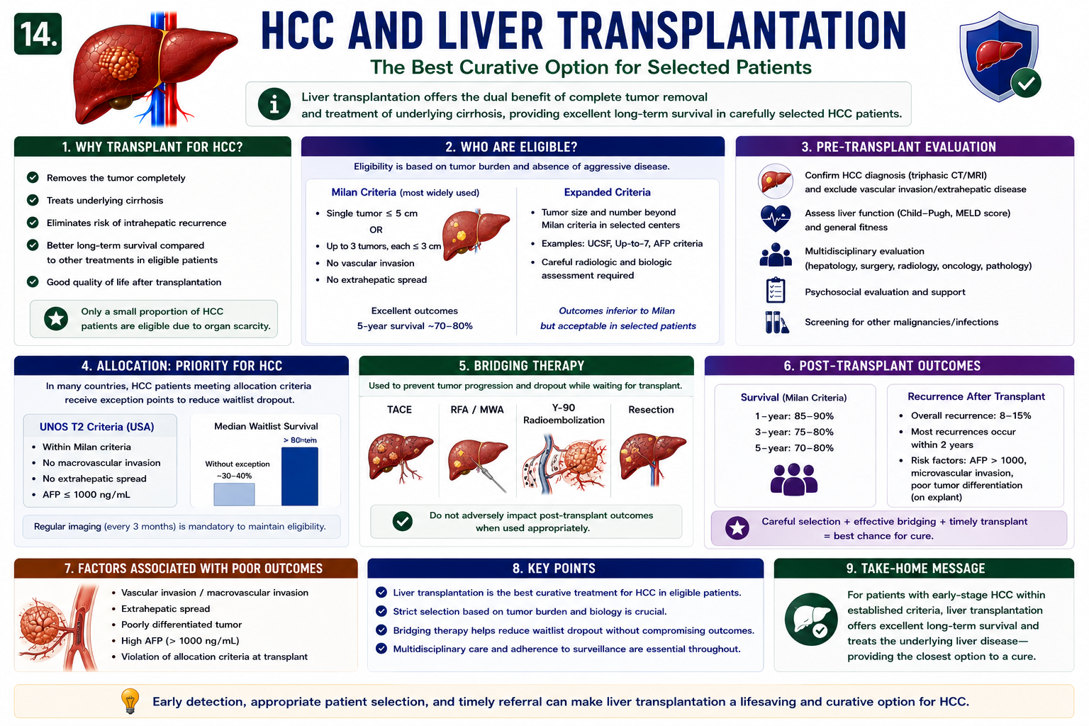 HCC and liver transplantation showing early tumor within criteria removal of tumor and cirrhotic liver and donor liver replacement