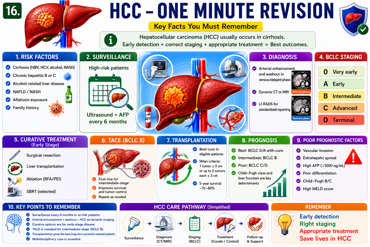 One-minute revision summary of HCC showing chronic liver injury cirrhosis surveillance AFP multiphasic imaging APHE washout LI-RADS BCLC staging and treatment selection