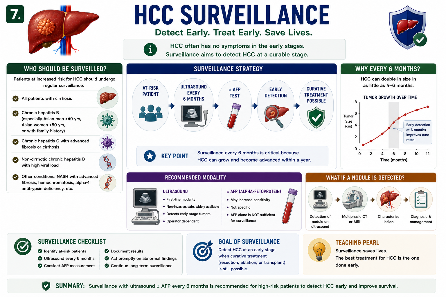 HCC surveillance showing cirrhosis ultrasound every six months AFP early detection and curative treatment opportunity