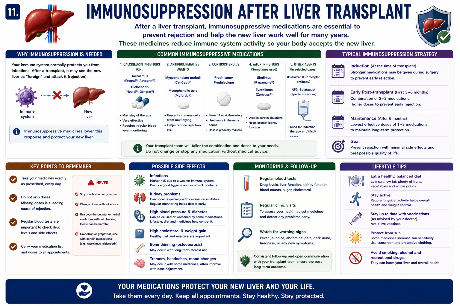 Immunosuppression after liver transplant showing tacrolimus mycophenolate corticosteroids rejection prevention and graft preservation