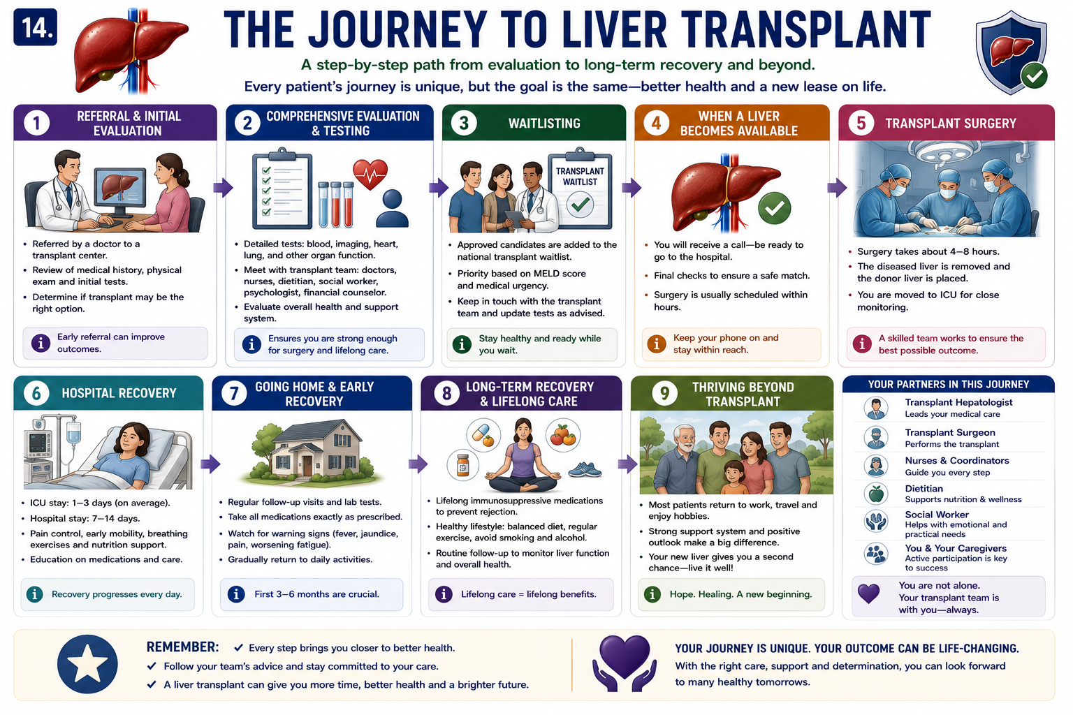 Journey to liver transplantation showing liver disease referral assessment waiting list donor organ transplant surgery and follow-up