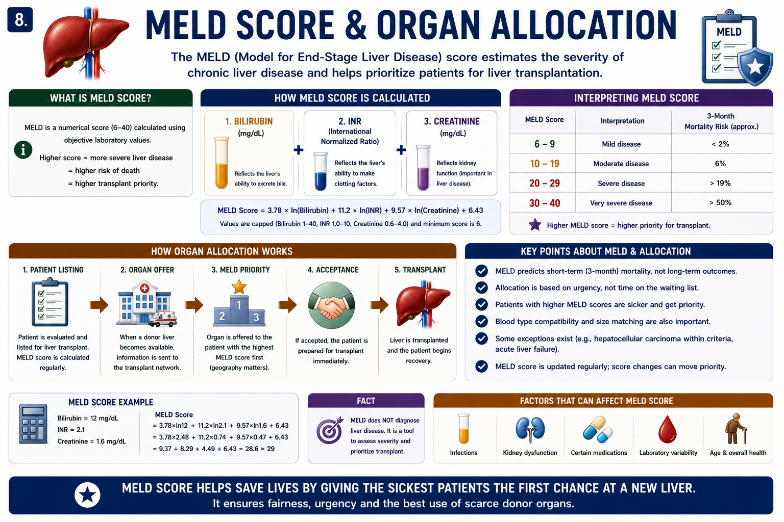 MELD score and liver transplant allocation showing higher MELD higher mortality risk and higher transplant priority