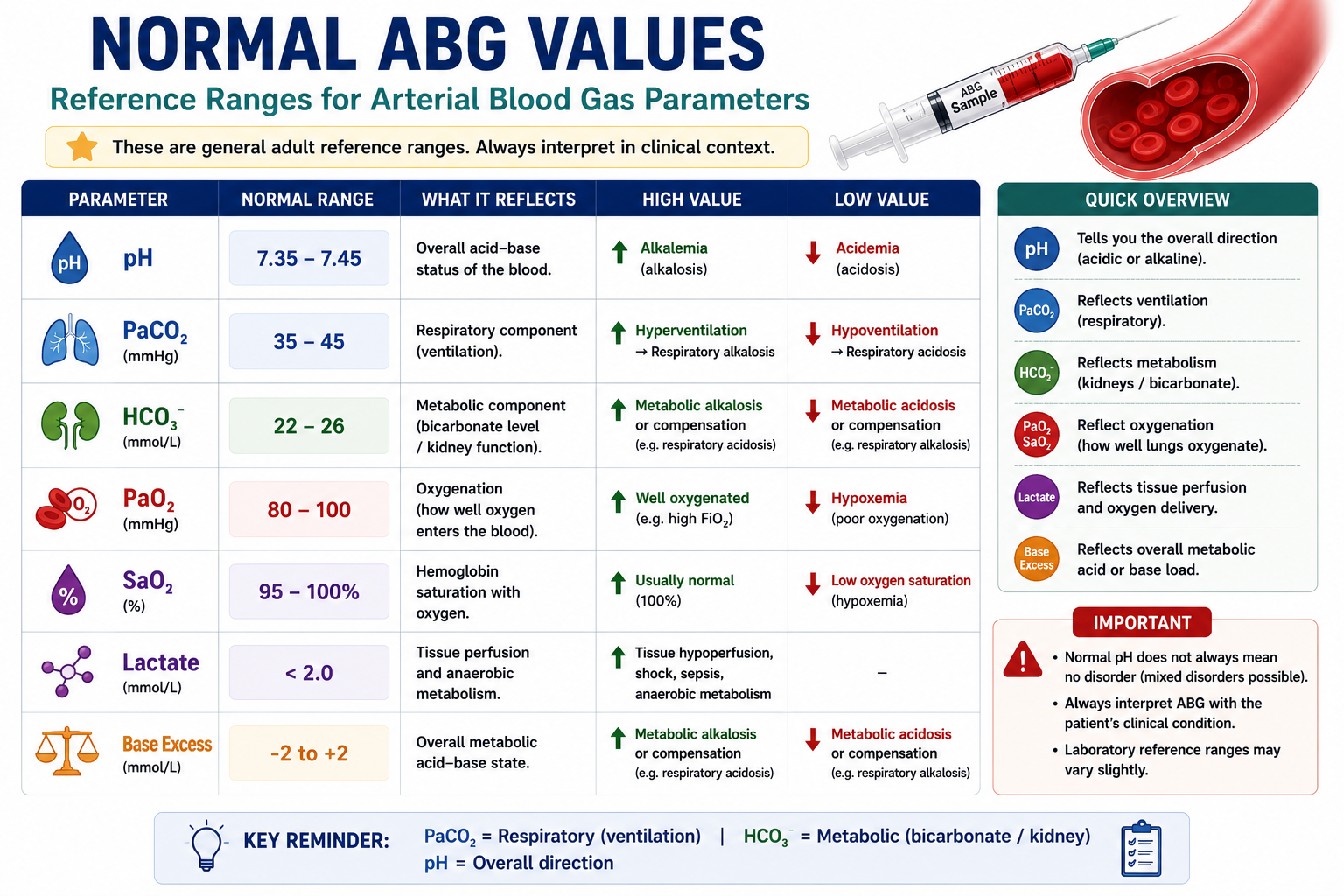 Normal ABG values for pH PaCO2 bicarbonate PaO2 oxygen saturation and lactate
