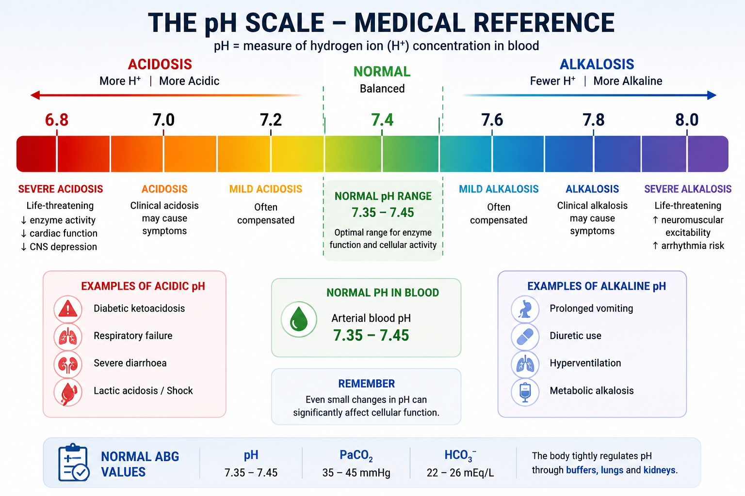 Medical pH scale showing severe acidosis normal range and severe alkalosis