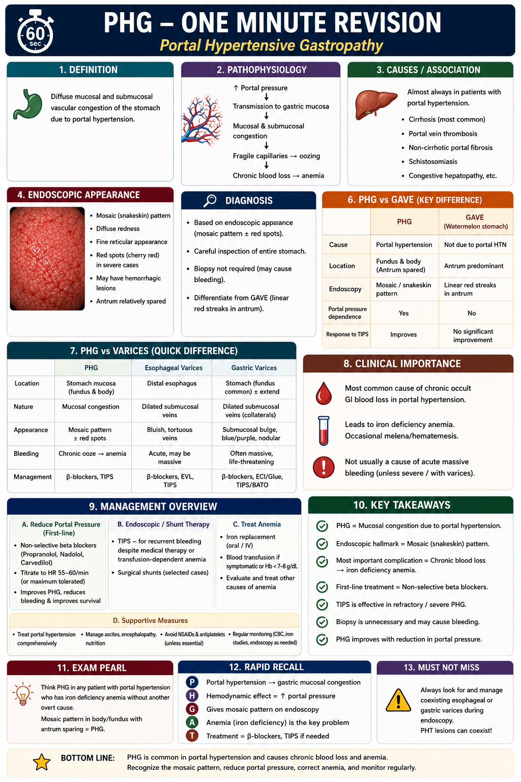 One-minute revision summary of portal hypertensive gastropathy showing portal hypertension causing gastric mucosal congestion mosaic appearance fragile vessels chronic blood loss iron deficiency anaemia and treatment with beta blockers and TIPS