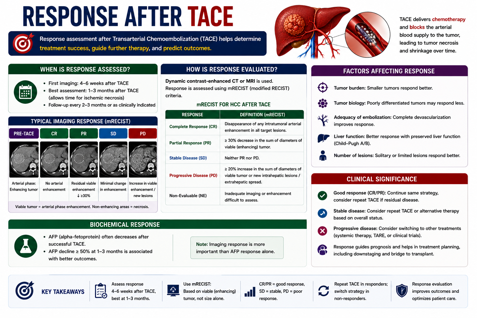 Response assessment after TACE showing treatment loss of arterial enhancement tumor necrosis and radiological response