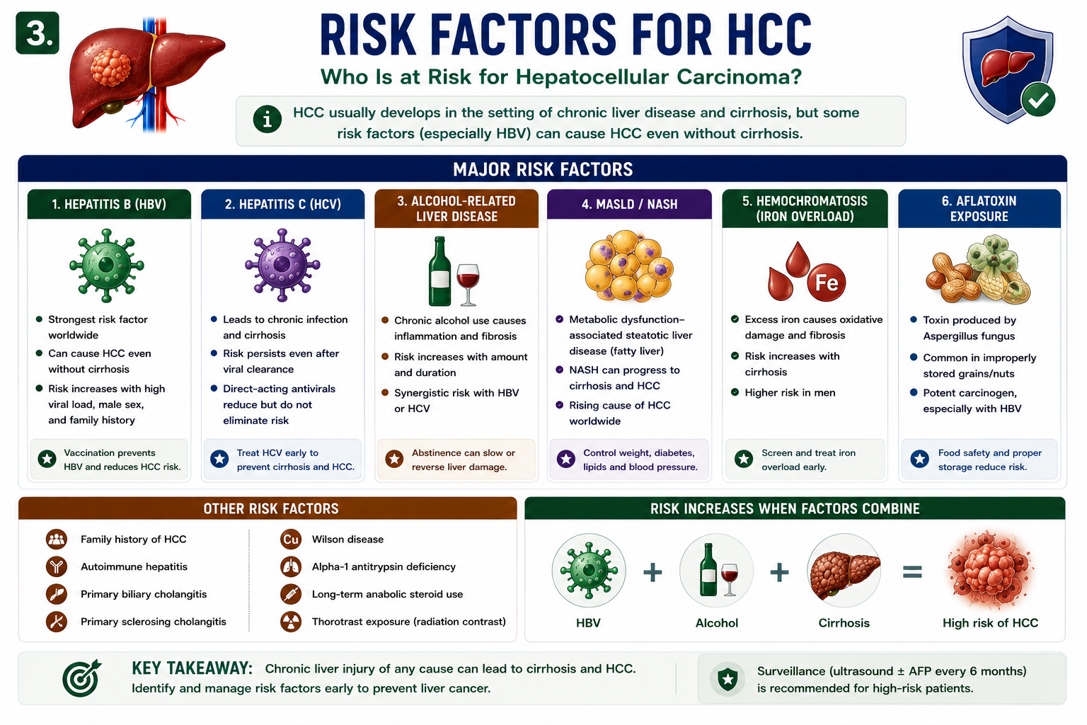 Risk factors for HCC including hepatitis B hepatitis C alcohol MASLD NASH hemochromatosis and aflatoxin