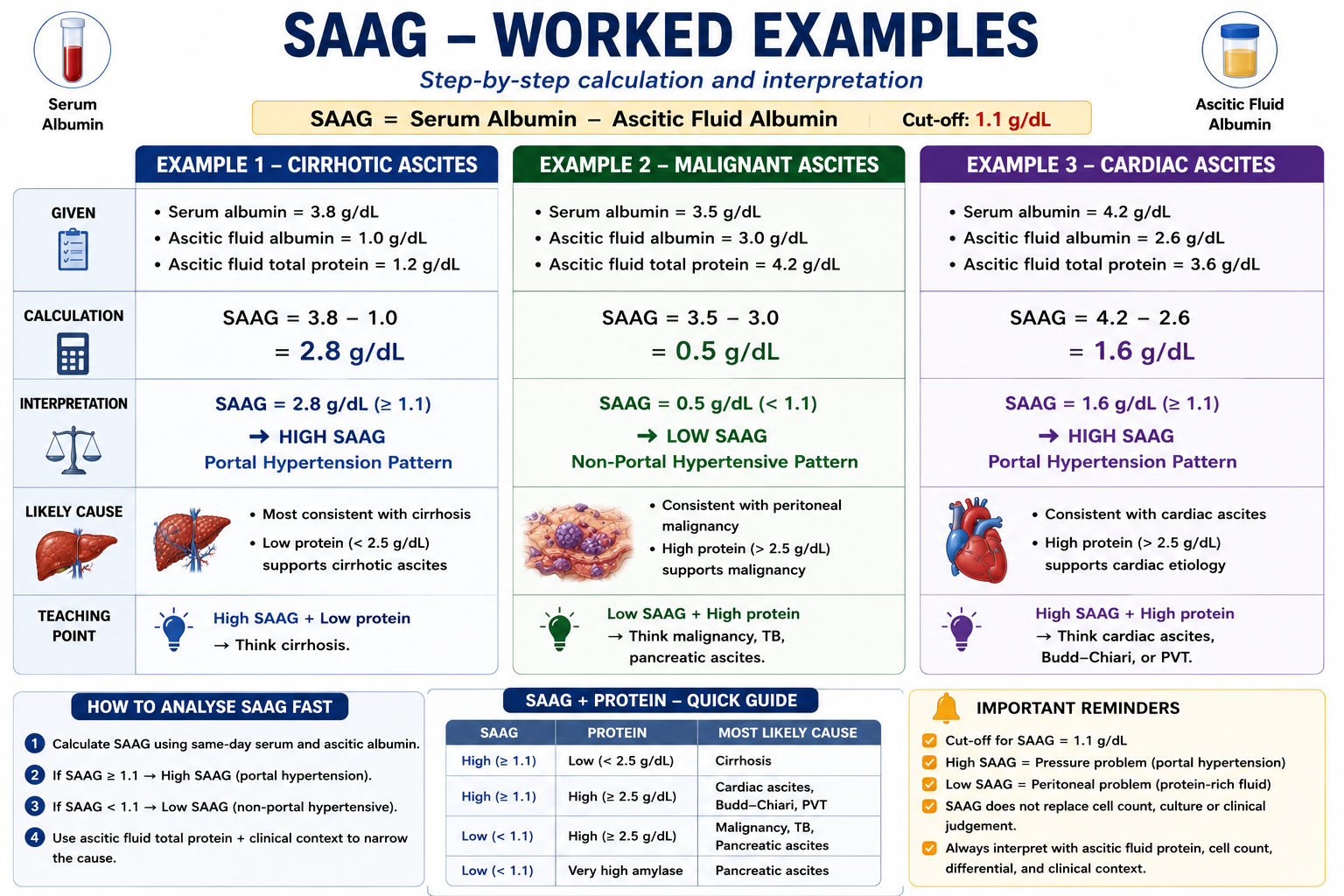 Three worked SAAG examples showing cirrhotic ascites malignant ascites and cardiac ascites with calculations and interpretations