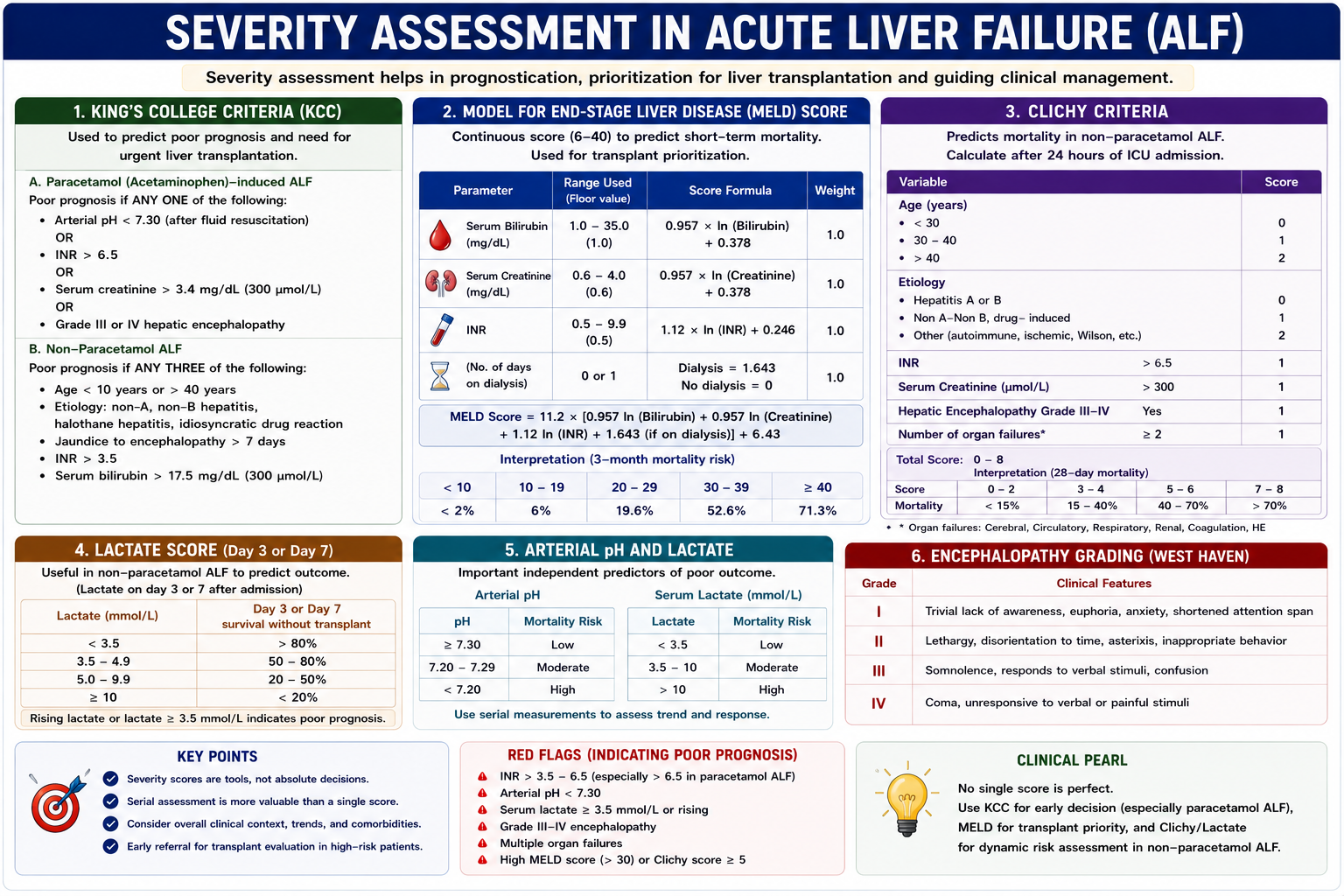 Severity assessment in acute liver failure including INR encephalopathy ammonia lactate renal function and cerebral edema