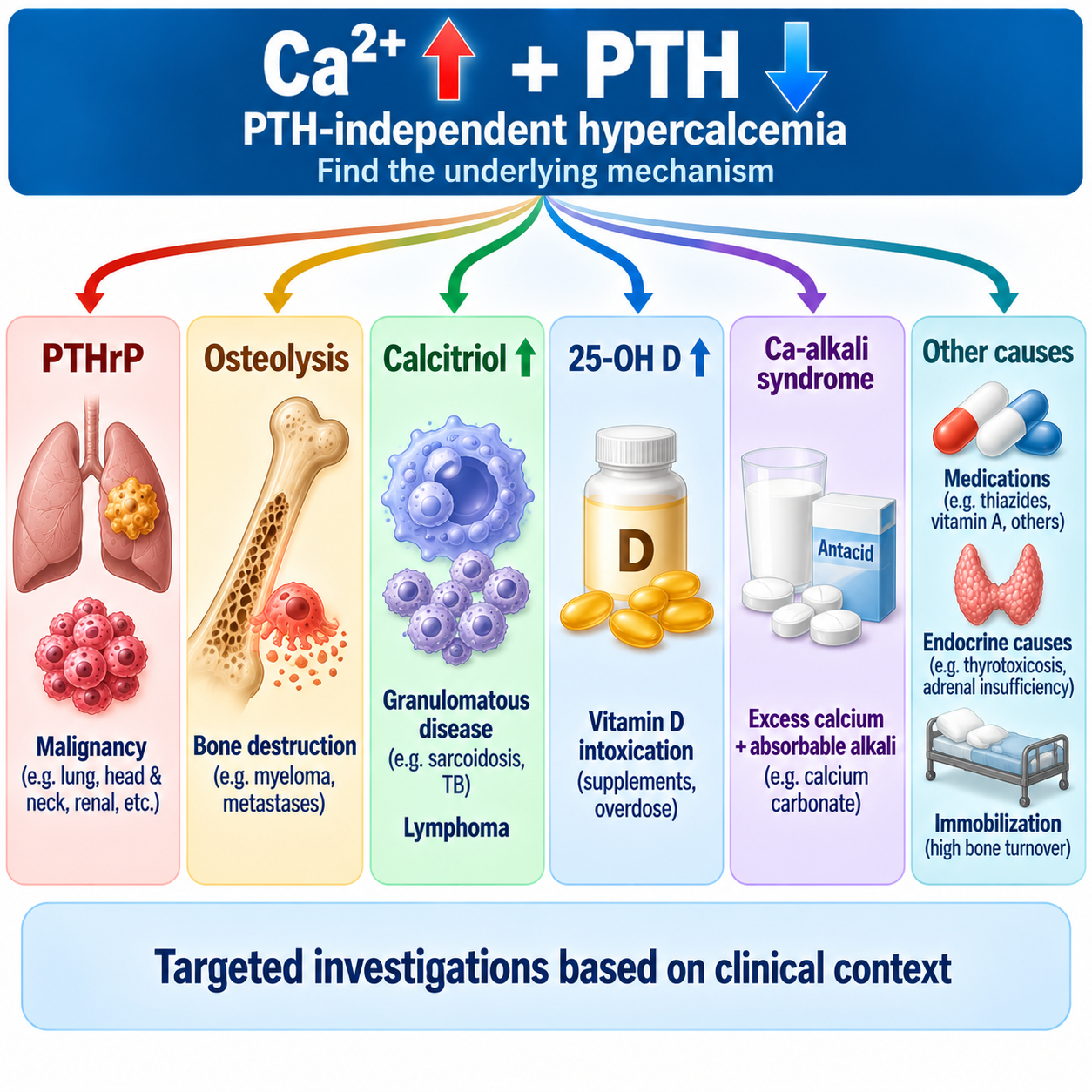 Mechanism-based diagram of suppressed-PTH hypercalcemia including PTHrP, osteolysis, calcitriol excess, vitamin D intoxication, calcium-alkali syndrome and immobilization.