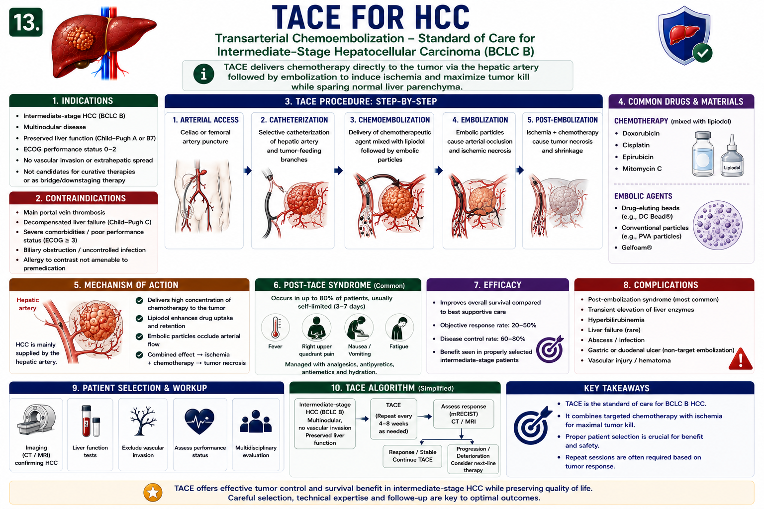 TACE for HCC showing catheter into tumor feeding artery chemotherapy embolization and tumor ischemia